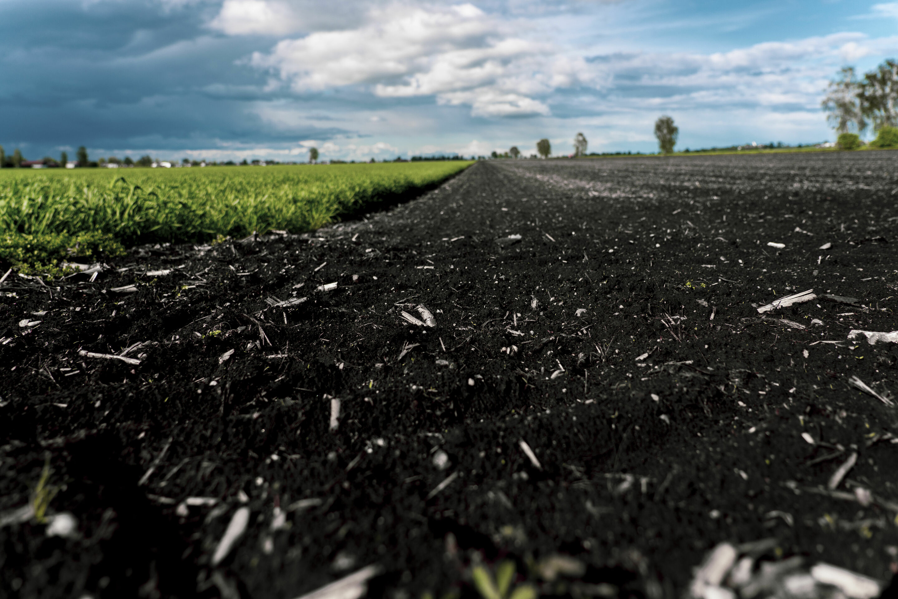 Peatland protection through climate certificates - The feasibility study CO2-regio, funded by the Audi Environmental Foundation, investigated how measures for rewetting in Bavaria’s largest fen, the Donaumoos, could be reconciled with the needs of local...